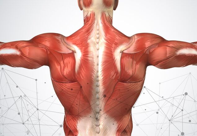 bolesť svalov pozdĺž chrbtice