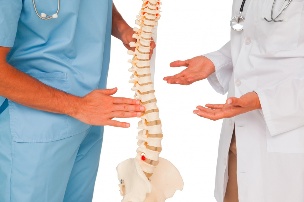 Lekári a model chrbtice